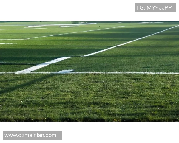 谢羽足球明星图揭示了他在绿茵场上的辉煌成就与不懈奋斗的故事